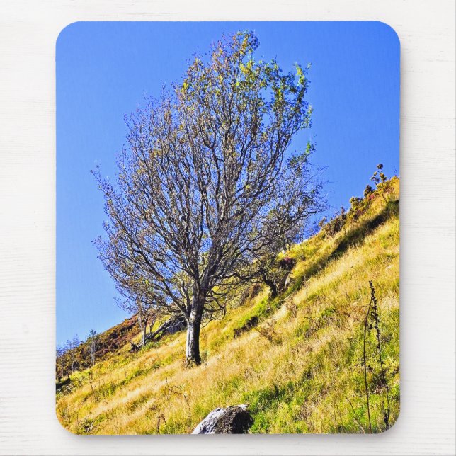 L0NE TRÄD MUSMATTA (Framsidan)