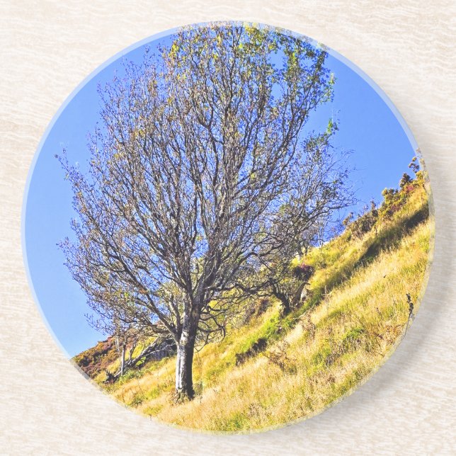 L0NE TRÄD UNDERLÄGG (Framsidan)