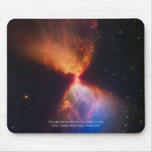 L1527 och Protostar - James Webb Space Telescope Musmatta