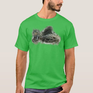 L191 Broken Line Royal Pleco Panaque sp T Shirt