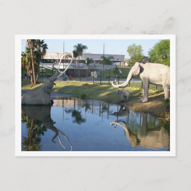 LA BREA TAR PITS #1-vykort Vykort (Framsida)