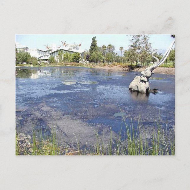 La Brea Tarpits Ponds Museums Vykort (Framsida)
