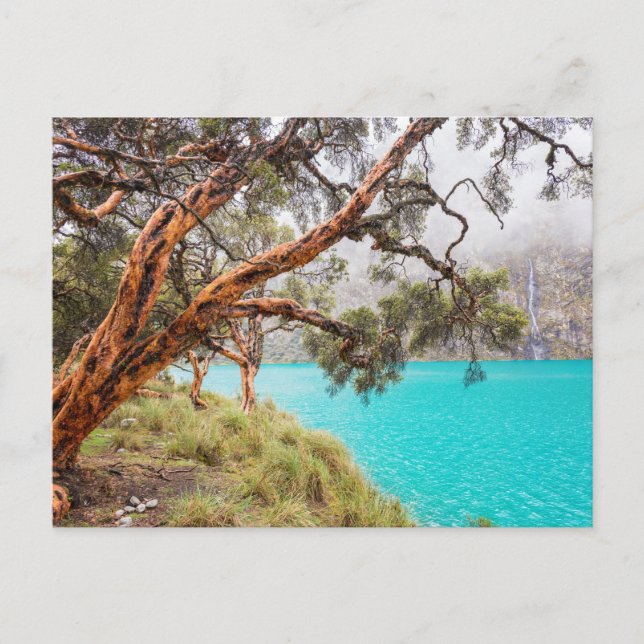 La bruma y el lago, Huaraz, Perú Vykort (Framsida)