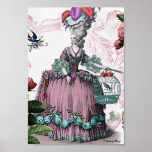 la cage aux oiseaux (Birdcage) Poster
