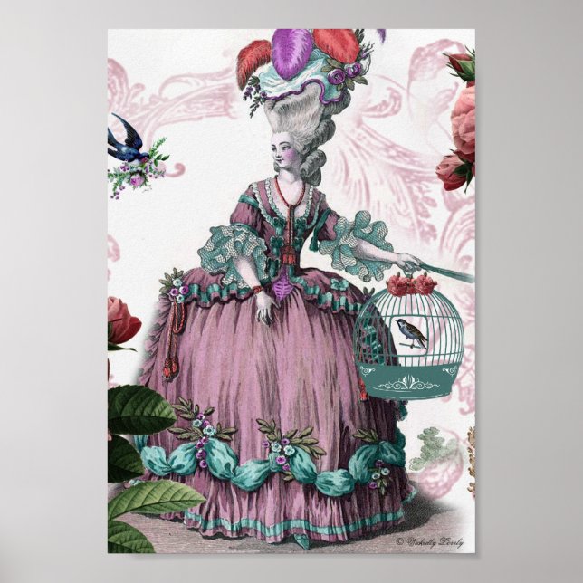la cage aux oiseaux (Birdcage) Poster (Framsidan)