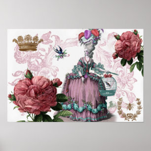 la cage aux oiseaux (Birdcage) Poster