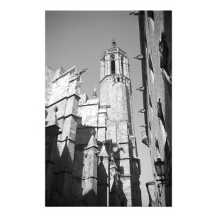 La Catedral Gargoyles Photo (Barcelona, Spanien) Fototryck