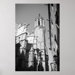 La Catedral Gargoyles Photo Poster Art Skriv ut