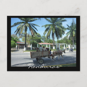 la ceiba transport vykort