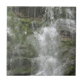 La Chute vattenfall i Forillon nationalpark Kakelplatta