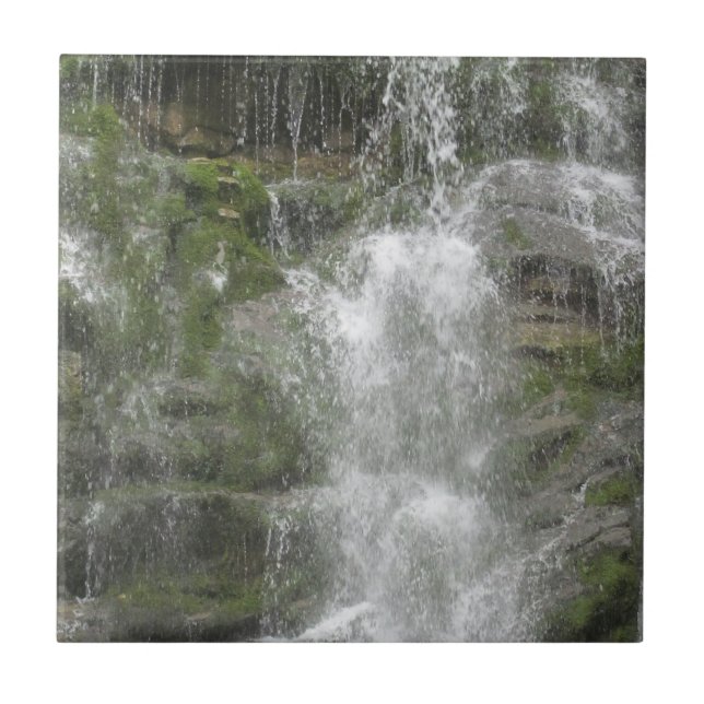 La Chute vattenfall i Forillon nationalpark      Kakelplatta (Framsidan)