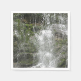 La Chute vattenfall i Forillon nationalpark Pappersservett