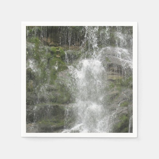 La Chute vattenfall i Forillon nationalpark      Pappersservett (Framsidan)