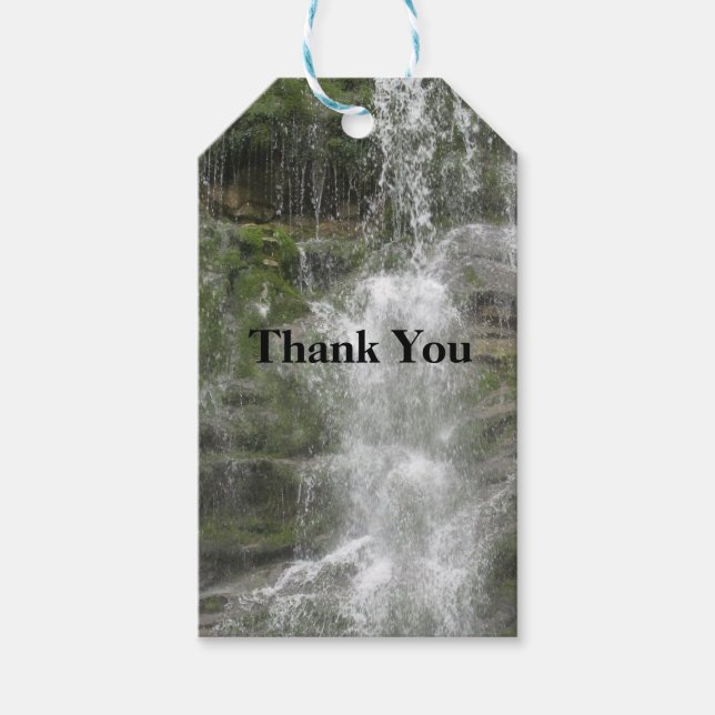 La Chute vattenfall i Forillon nationalpark      Presentetikett (Framsidan)