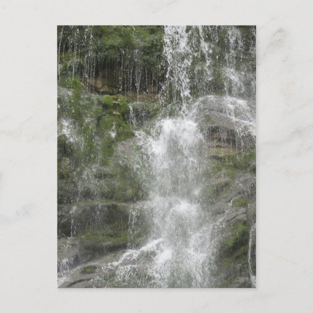 La Chute Waterfall i Forillons nationalpark Vykort (Framsida)