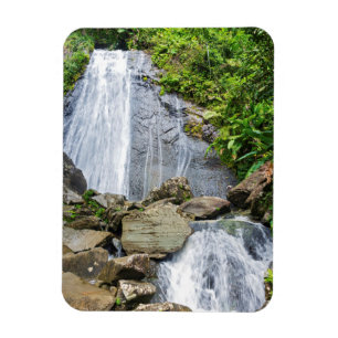 La coca-fall av el. yunque national forest magnet