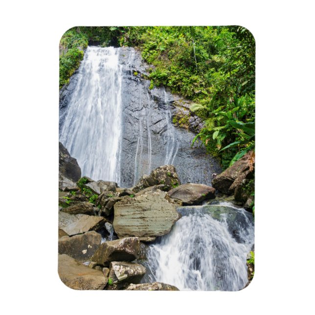 La cocas fall av el yunque national forest magnet (Vertikal)