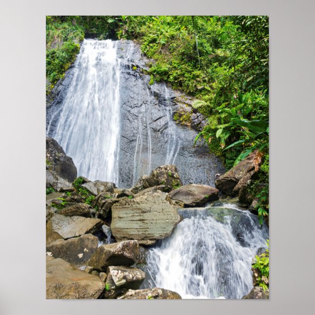 La cocas fall av el yunque national forest poster (Framsidan)