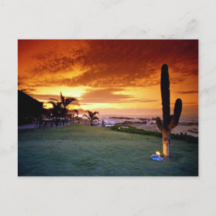 La Concha-restaurangen, Baja, Mexiko Vykort