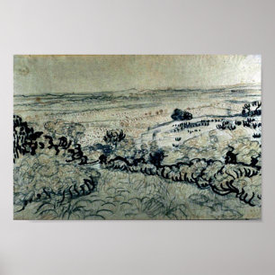 La Crau Van Gogh Fine Art Poster