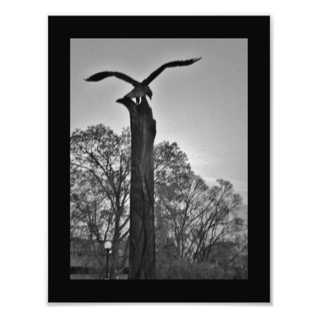 La Crosse Eagle Fototryck (Framsidan)