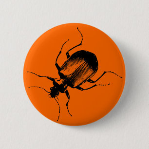 La Cucaracha Knapp