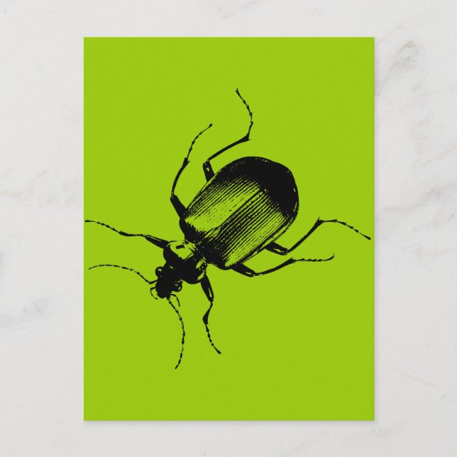 La Cucaracha Vykort (Framsida)