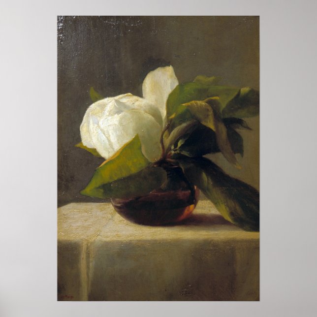 La Farge - Magnolia Poster (Framsidan)