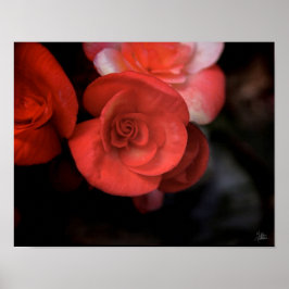 La Fleur Rouge [Art Print] Poster