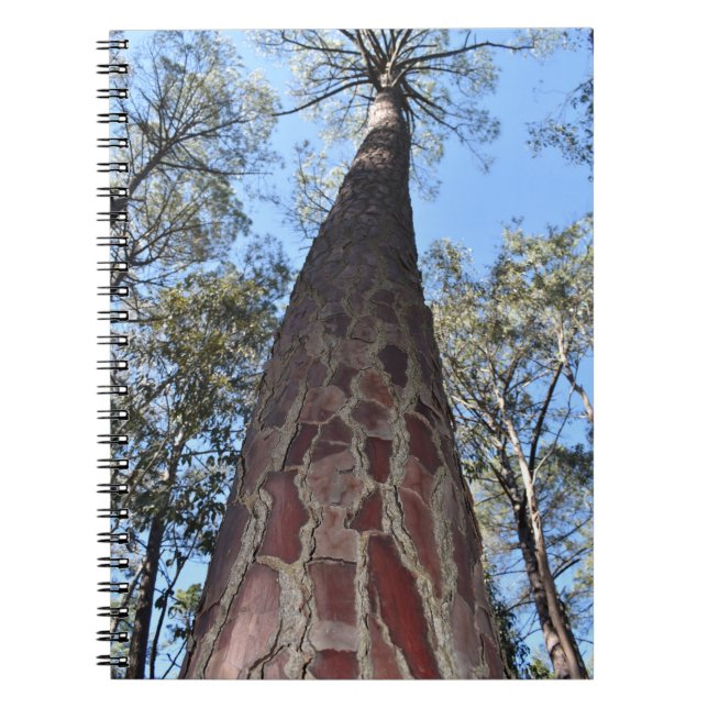 La Gerche Ponderosa Gräs Spiral Notebook Anteckningsbok (Framsidan)