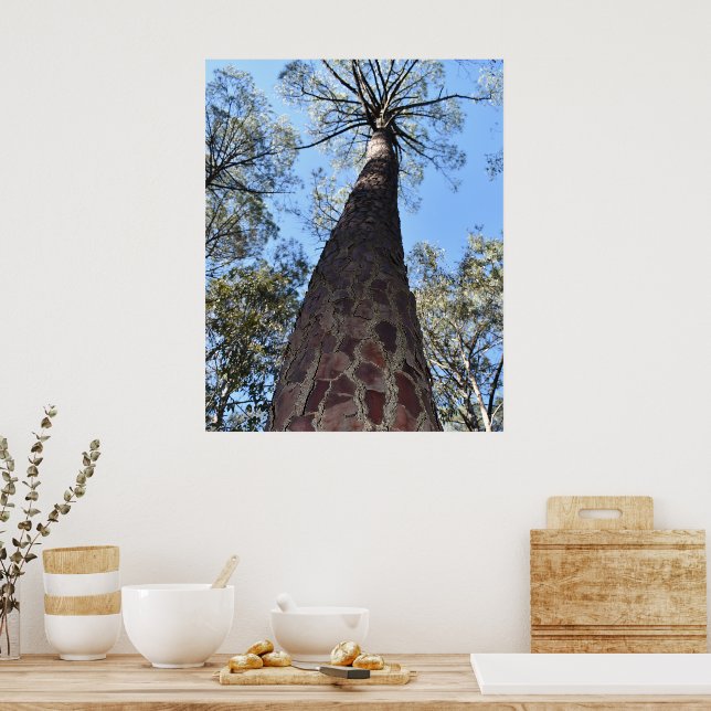 La Gerche Ponderosa Tallrik Poster (Kök)