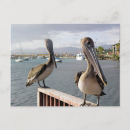 La Guancha en Ponce Vykort