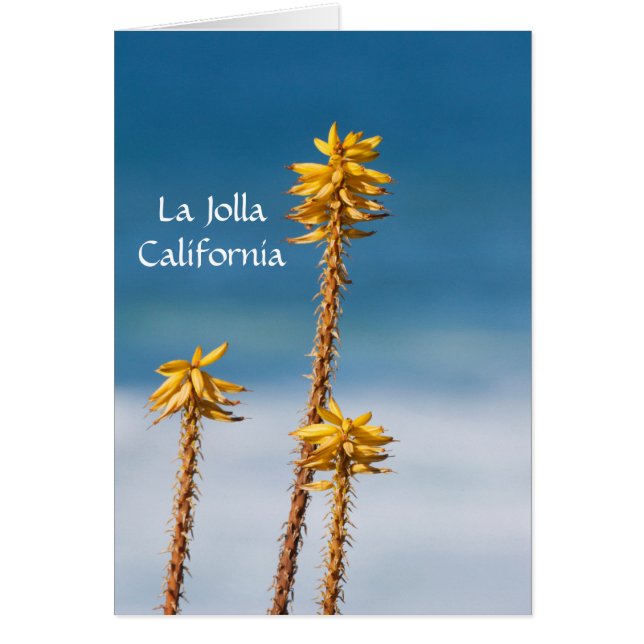 La Jolla Agave och Ocean Hälsningskort (Framsidan)