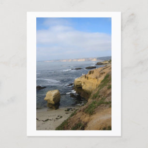 La Jolla Beach Seabirds Anpassningsbar California Vykort