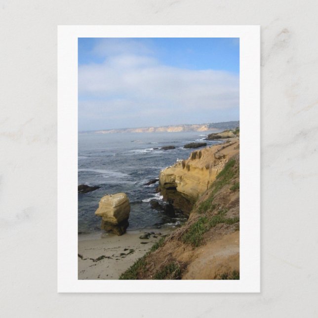 La Jolla Beach Seabirds Anpassningsbar California  Vykort (Framsida)