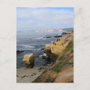 La Jolla Beach Seabirds Anpassningsbar California Vykort