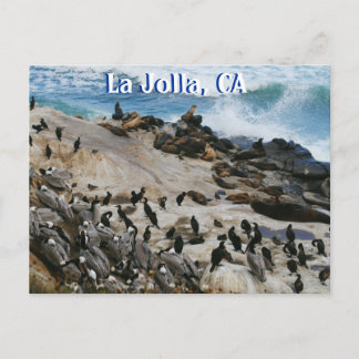 La Jolla California-postkort Vykort