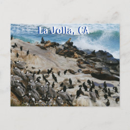 La Jolla California-postkort Vykort