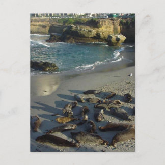 La Jolla Cove Beach Vågar Sand Sälar Vykort