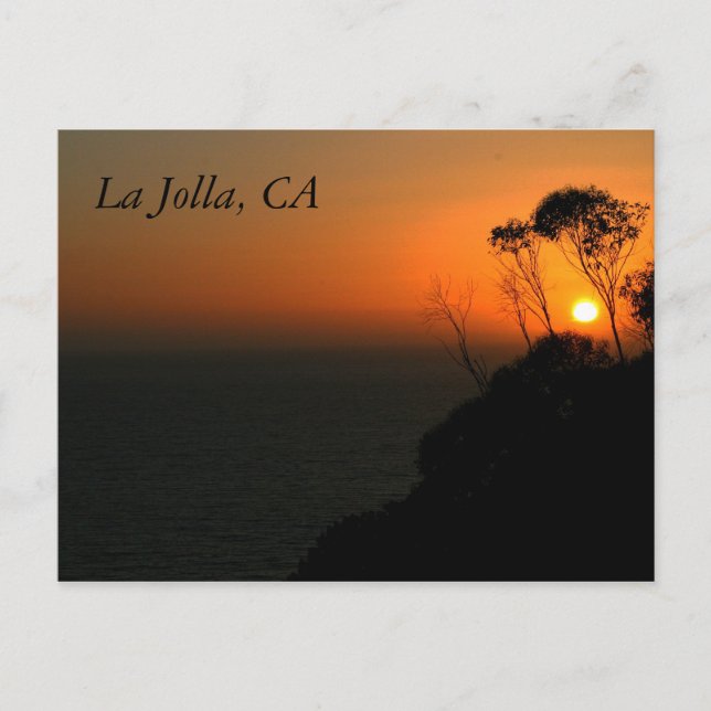 La Jolla Eucalyptus Grove Vykort (Framsida)