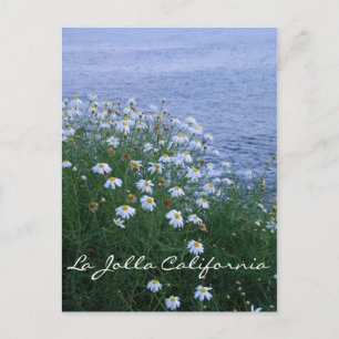 La Jolla Flowers och Sea Vykort