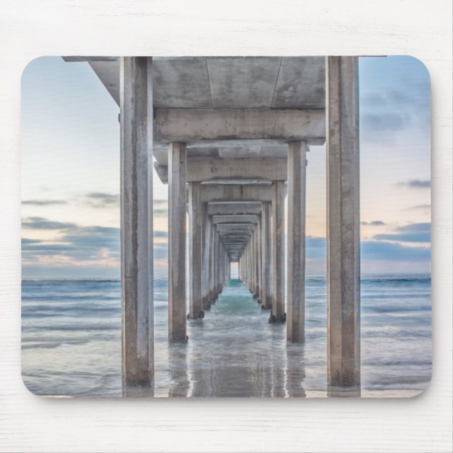 La Jolla, Scripps Pier Musmatta (Framsidan)