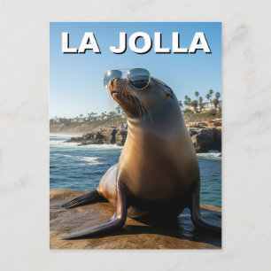 La Jolla Sea Lejon California Travel Vykort