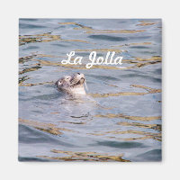La Jolla Seal