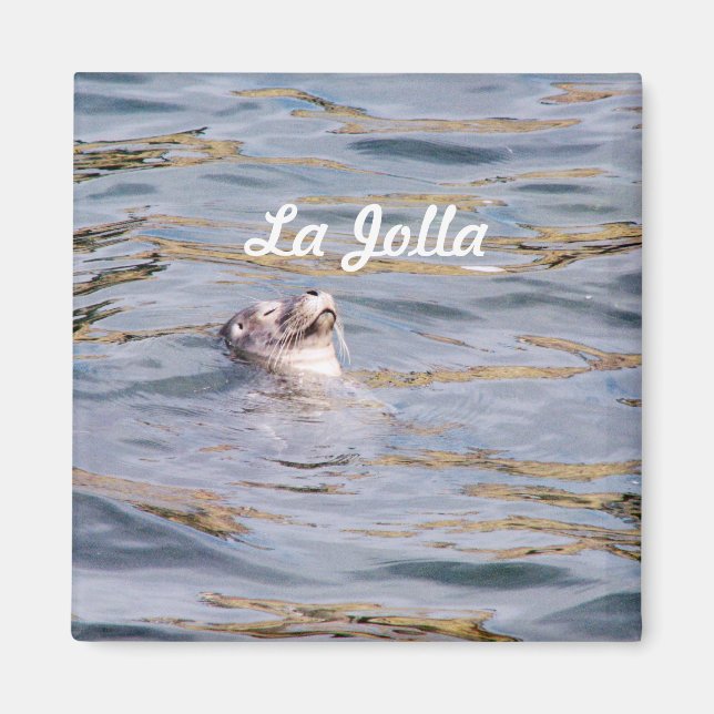 La Jolla Seal Magnet (Framsidan)