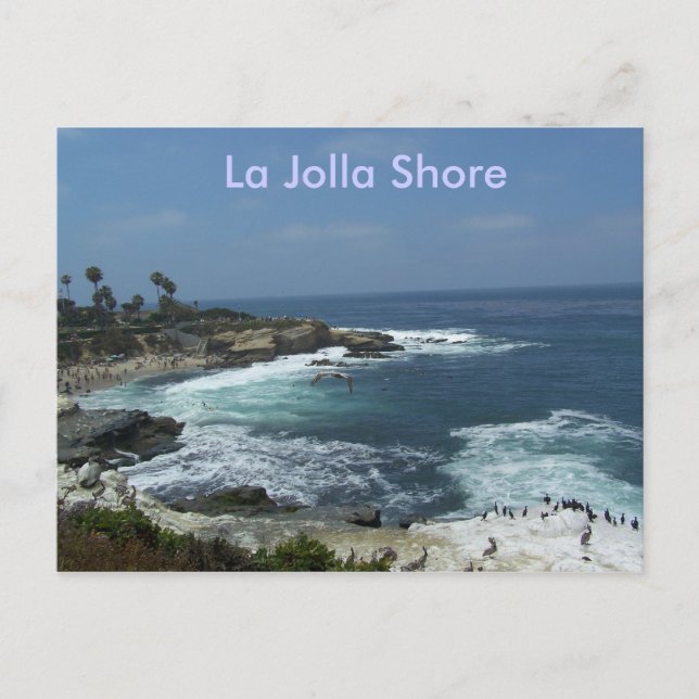 La Jolla Shore Vykort (Framsida)