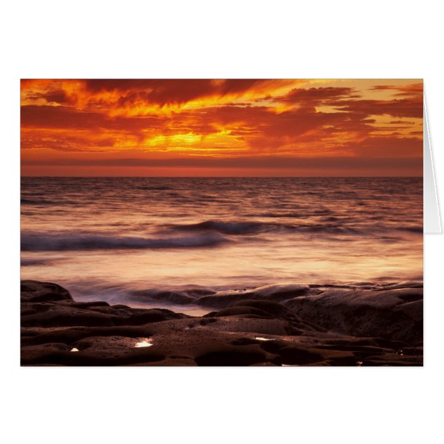 La Jolla Tide Bassäng Hälsningskort (Framsidan Horizontal)