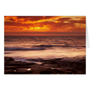 La Jolla Tide Pools Hälsningskort