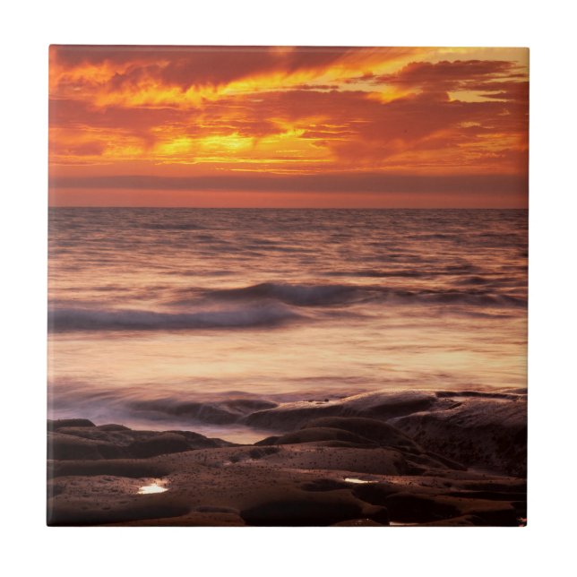 La Jolla Tide Pools Kakelplatta (Framsidan)
