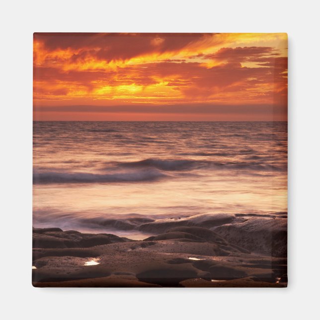La Jolla Tide Pools Magnet (Framsidan)